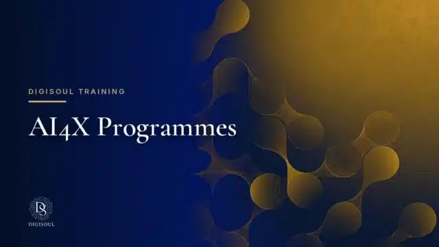 Digisoul: AI4X Programmes
